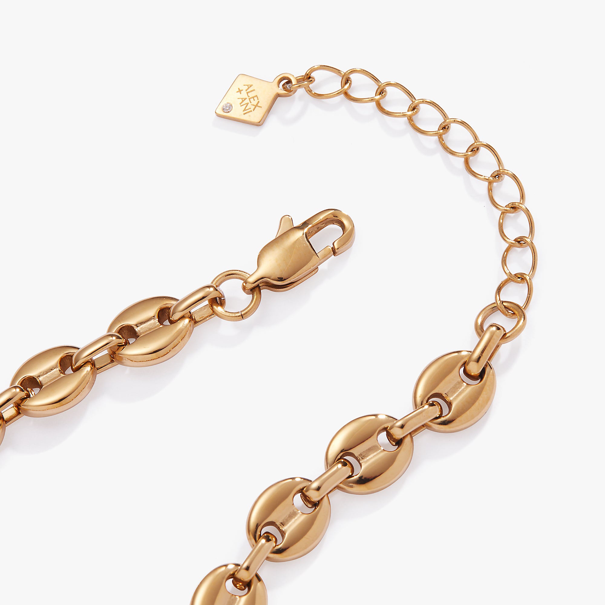Stainless Steel Gold