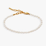 Stainless Steel Gold