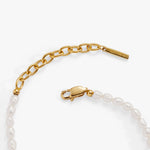 Stainless Steel Gold