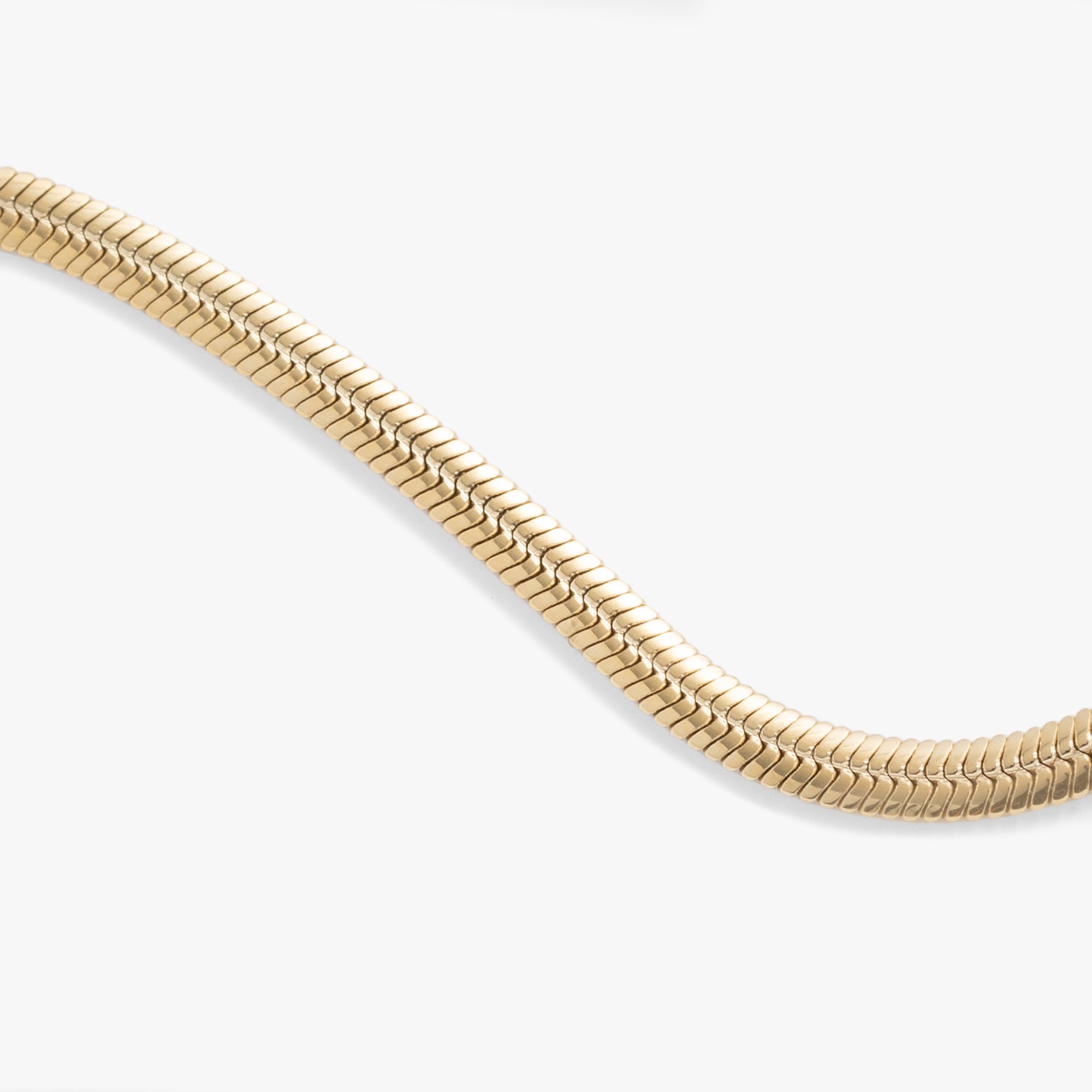 Stainless Steel Gold